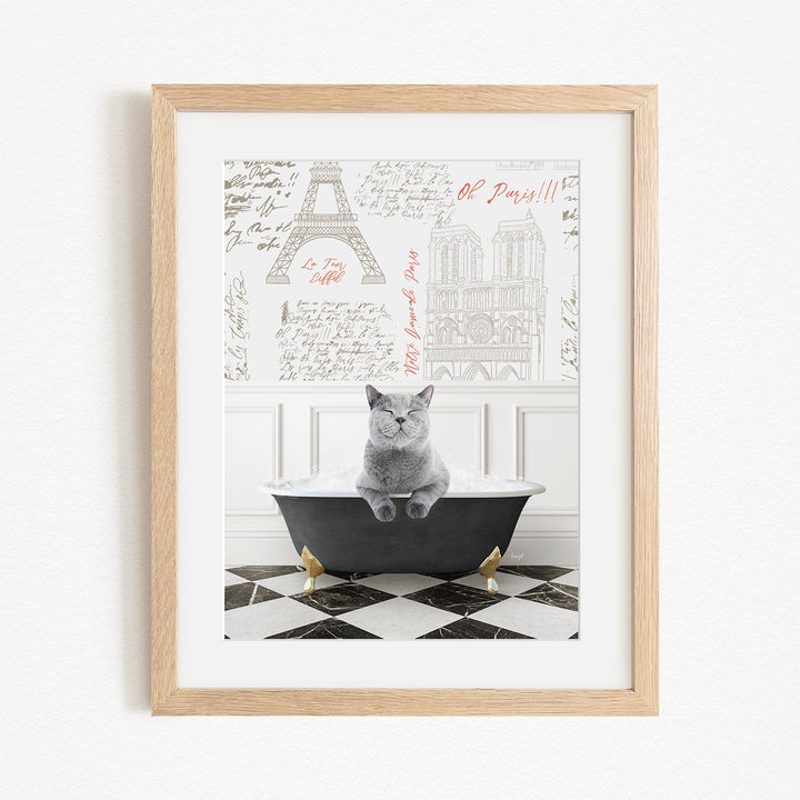 A framed image depicting a gray cat sitting in a bathtub, with a Paris-themed background featuring the Eiffel Tower and other Parisian landmarks.