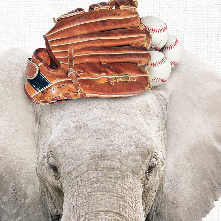 an elephant with a baseball glove on its back