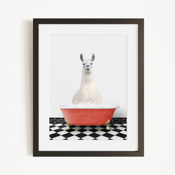A white llama sitting in a red bathtub on a black and white checkered floor.