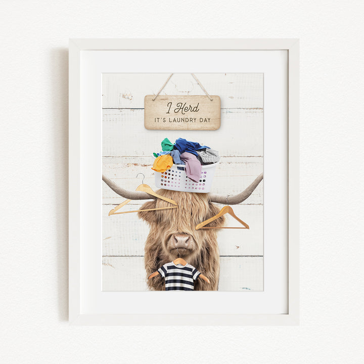 A framed image depicting a cow with a basket of laundry on its head, accompanied by a sign that reads "I herd it's laundry day".