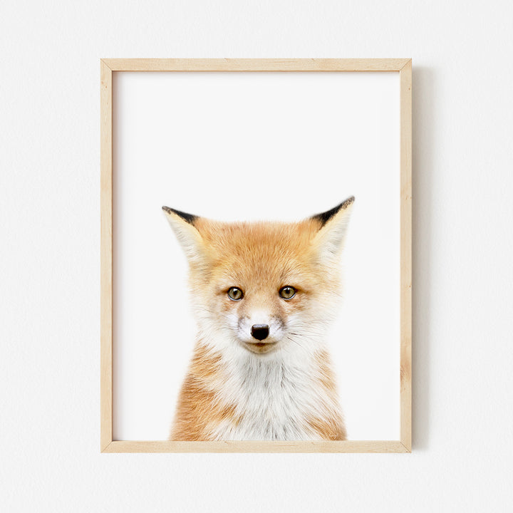 a picture of a fox is hanging on a wall