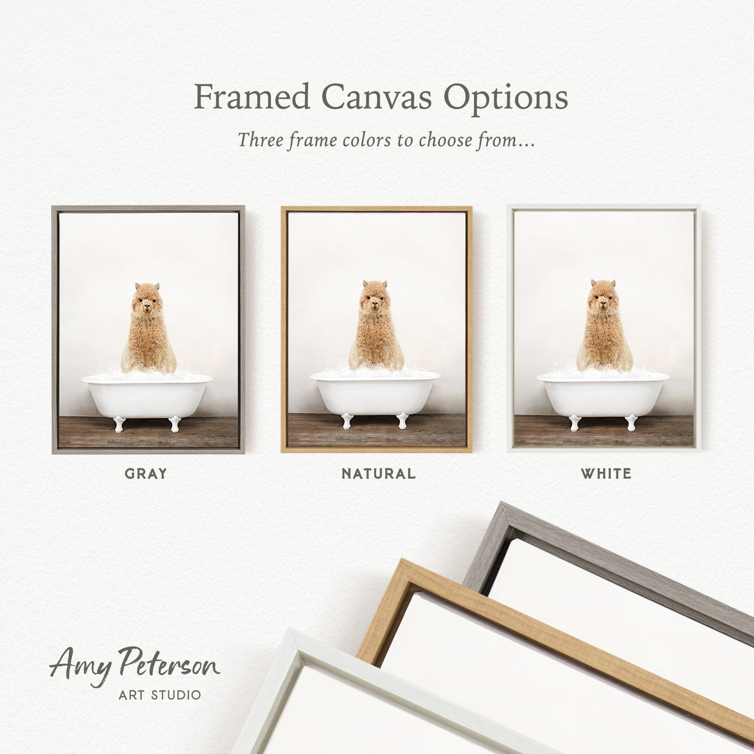 three framed canvas options, each featuring a small brown dog sitting in a white bathtub. The options include a gray frame, a natural frame, and a white frame.