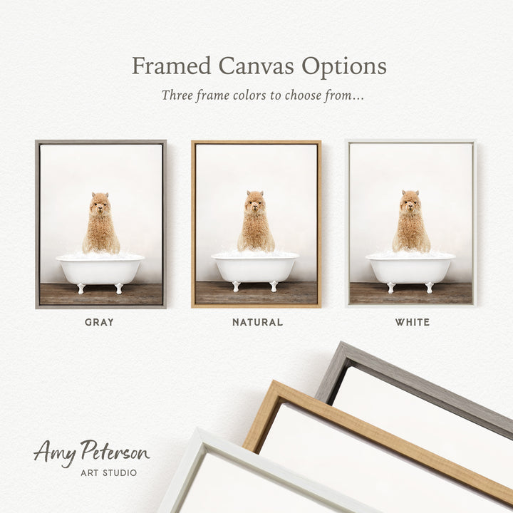 three framed canvas options, each featuring a small brown dog sitting in a white bathtub. The options include a gray frame, a natural frame, and a white frame.