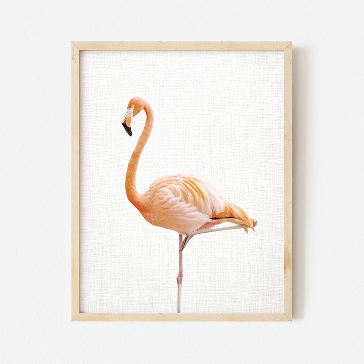 a pink flamingo standing in front of a white wall