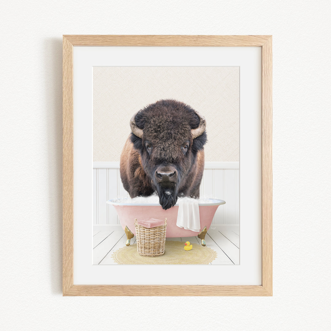 A buffalo standing in a pink bathtub, with a basket of rubber ducks nearby.