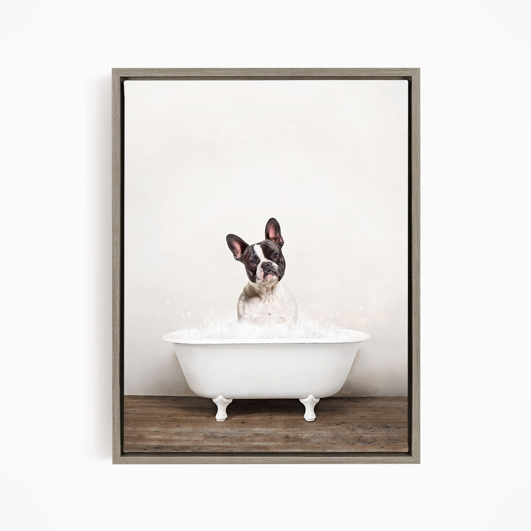 A dog sitting in a white bathtub filled with water, looking directly at the camera.