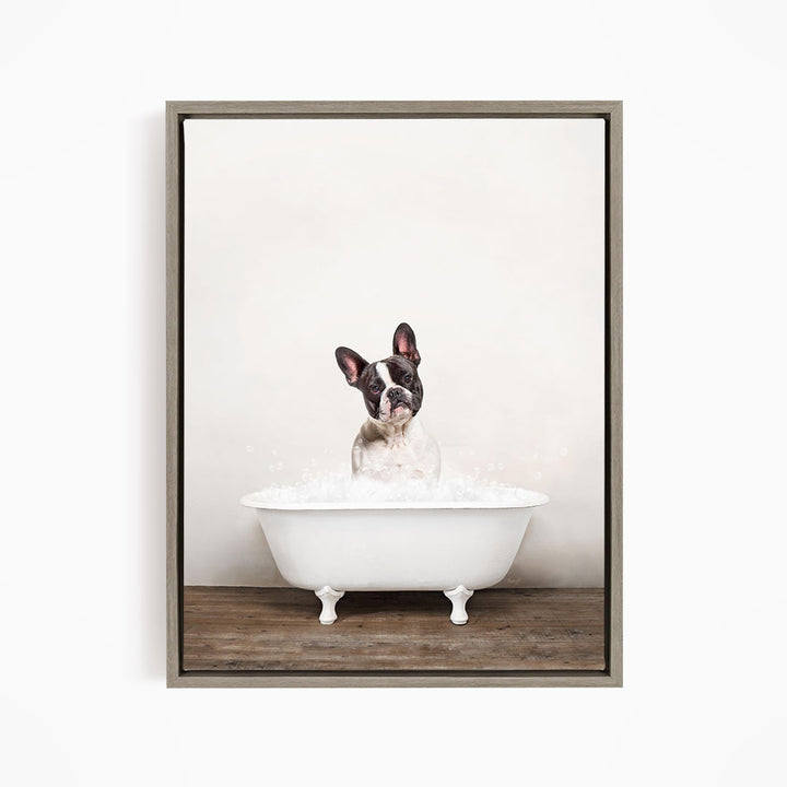 A dog sitting in a white bathtub filled with water, looking directly at the camera.