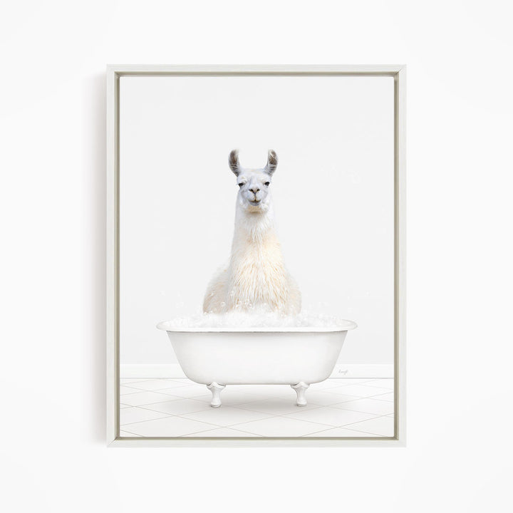 A white llama sitting in a white bathtub filled with bubbles.