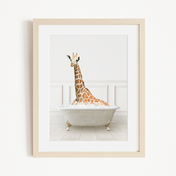A giraffe is sitting in a white bathtub, with its head and neck raised above the water.