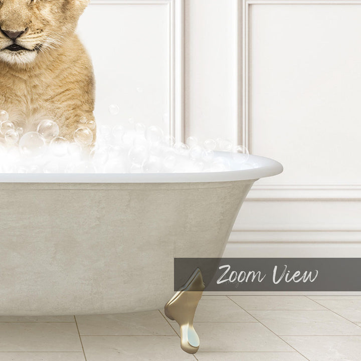 A cat standing in a bathtub filled with bubbles, with the text "Zoom View" displayed below the image.