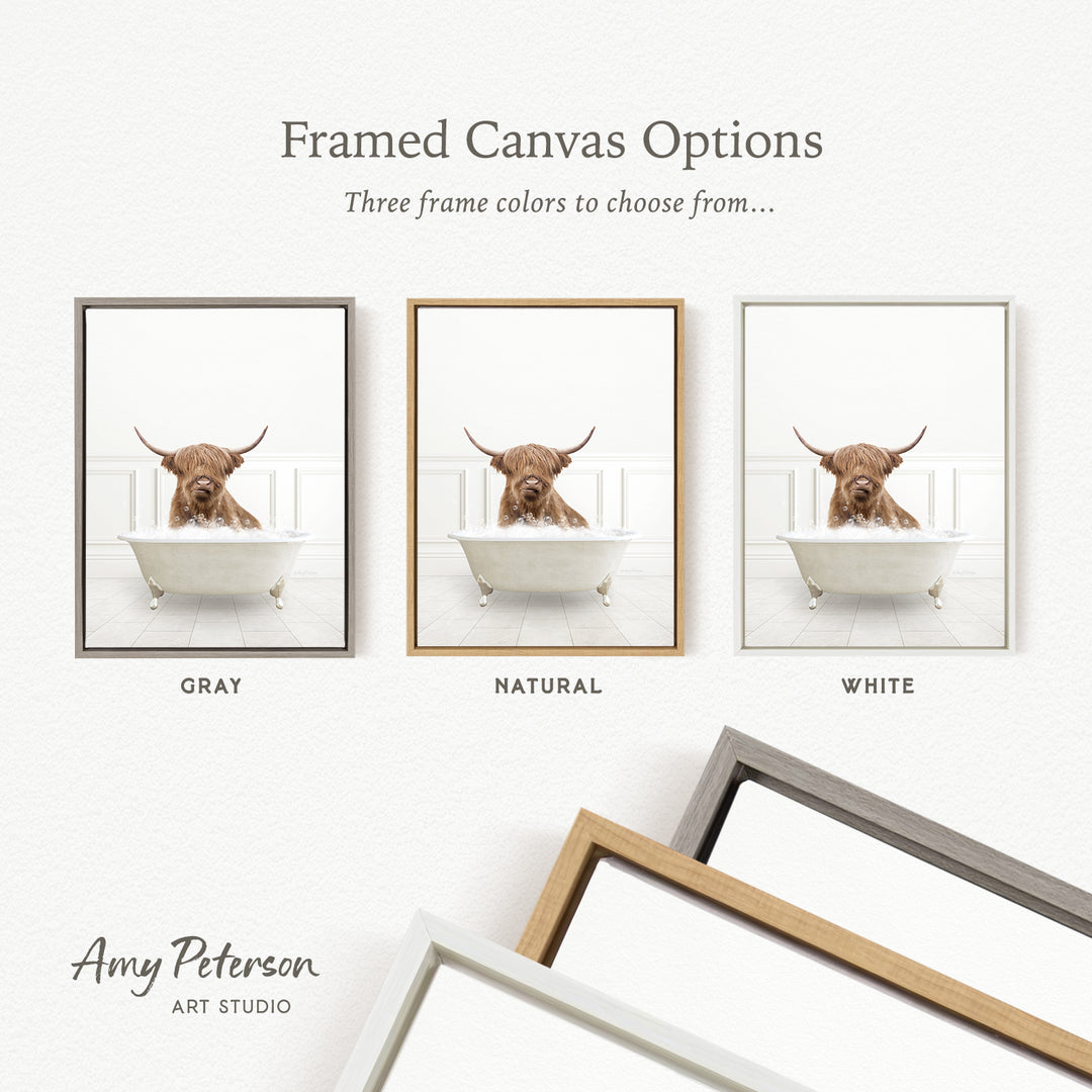 three framed canvas options, each featuring a different color: gray, natural, and white. The text above the images reads " Framed Canvas Options" and "Three frame colors to choose from...". The bottom of the image includes the text " Amy Peterson ART STUDIO".