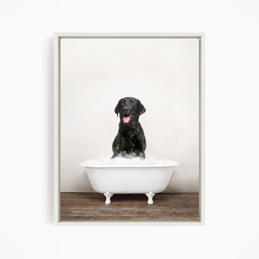 A black dog sitting in a white bathtub filled with bubbles, appearing to be enjoying the bath.