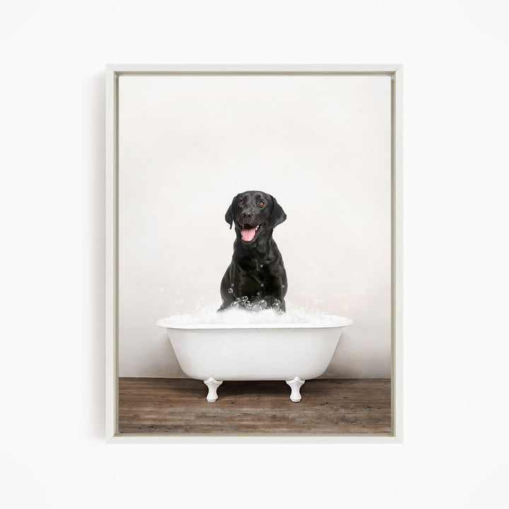 A black dog sitting in a white bathtub filled with bubbles, appearing to be enjoying the bath.
