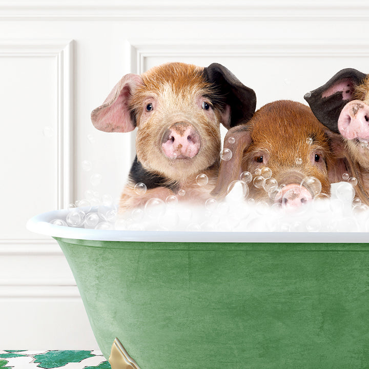 a group of three pigs sitting in a bath tub