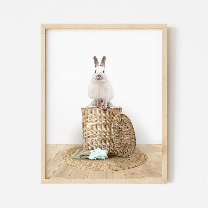 a white rabbit sitting on top of a basket