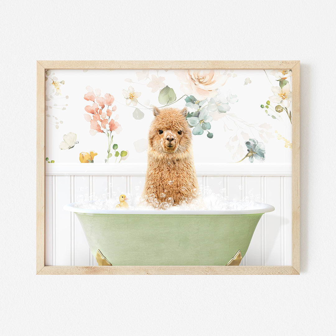 a brown dog sitting in a green bath tub