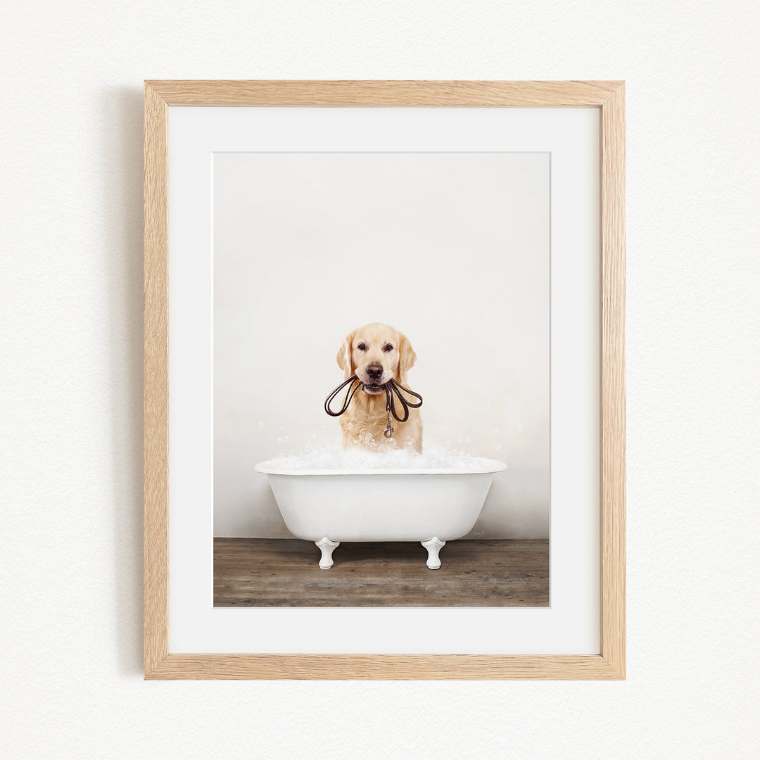 A golden retriever dog is sitting in a white bathtub filled with water, holding a leash in its mouth.
