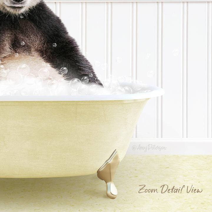 A close-up of a dog's paw in a bathtub filled with bubbles, with a white wall and text overlay in the background.