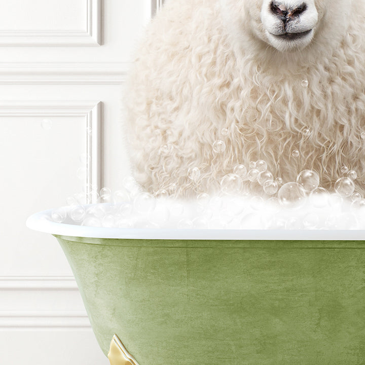 a sheep is sitting in a bathtub full of bubbles