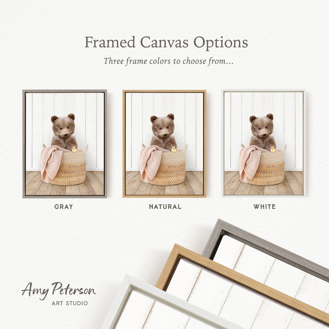 three framed canvas options, each featuring a teddy bear in a basket. The options include a gray frame, a natural frame, and a white frame. The text above the images reads " framed Canvas Options" and "Three frame colors to choose from...". The text below the images reads "Grays", "Naturals", and "Whites". The artist's name, " Amy Peterson ART STUDIO", is also present.