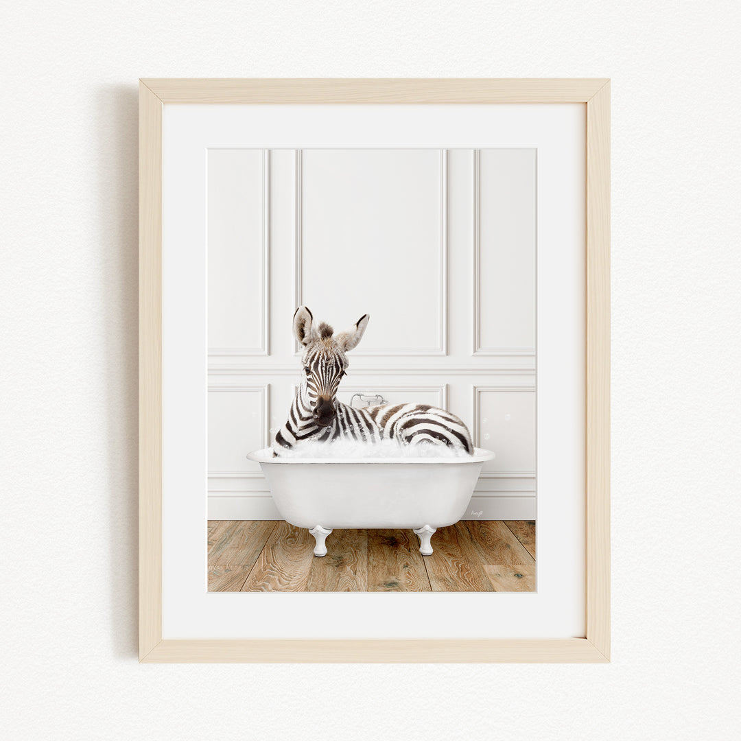 A zebra is sitting in a white bathtub, surrounded by a wooden floor and white walls.