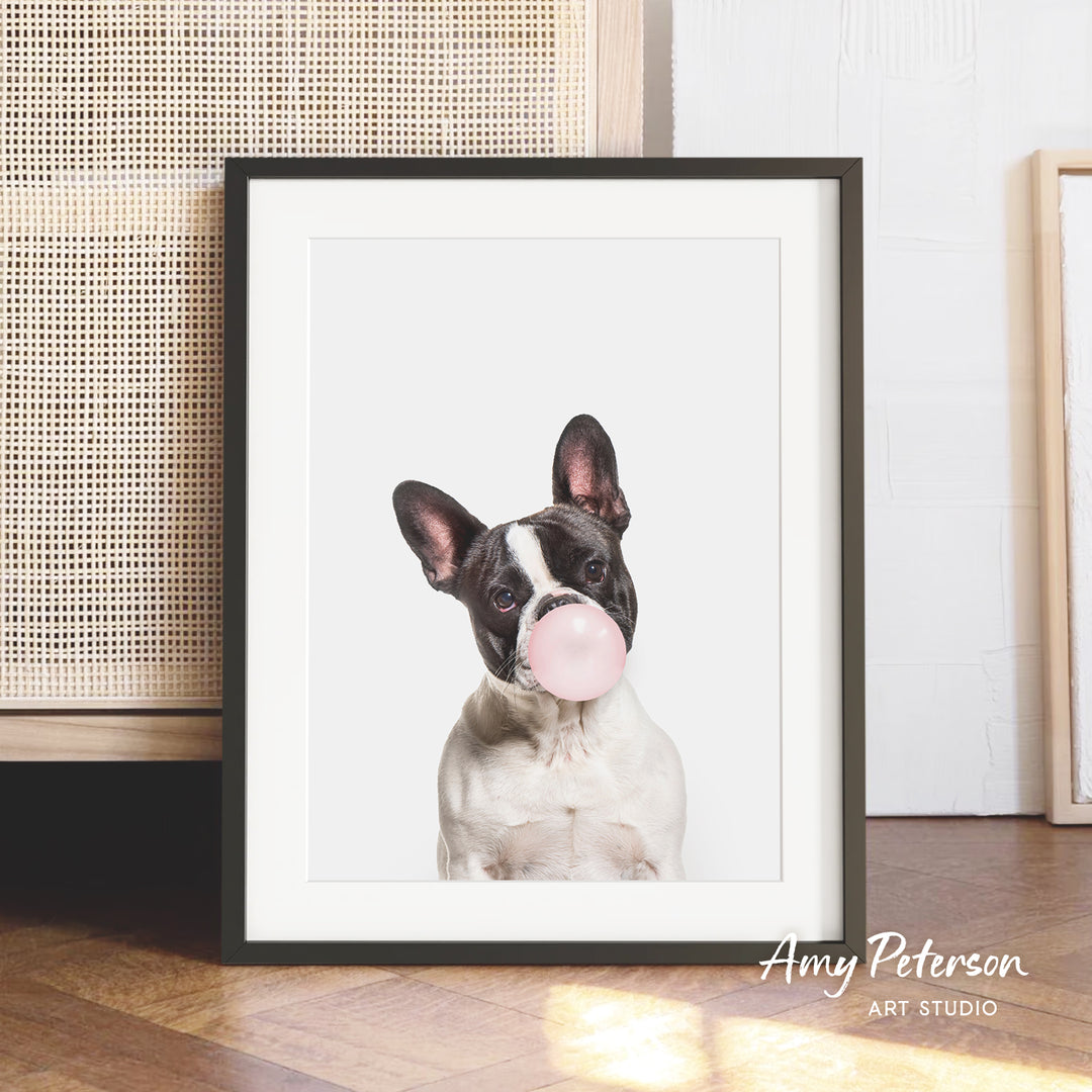 A framed photograph of a dog blowing a bubble with a pink bubble gum bubble.