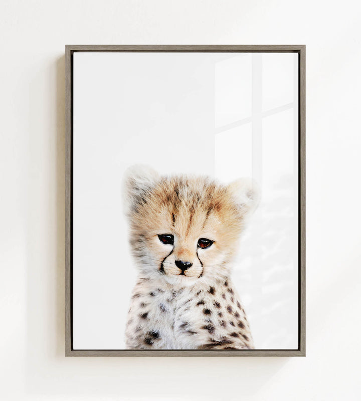 A young cheetah with a spotted coat gazes directly at the camera, its eyes full of curiosity and alertness.