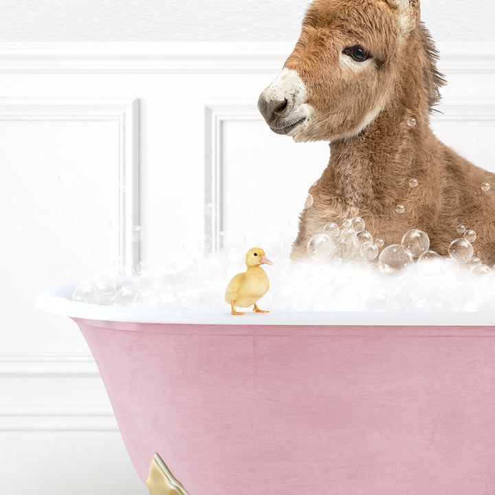 a baby donkey in a bathtub with bubbles and a rubber duck