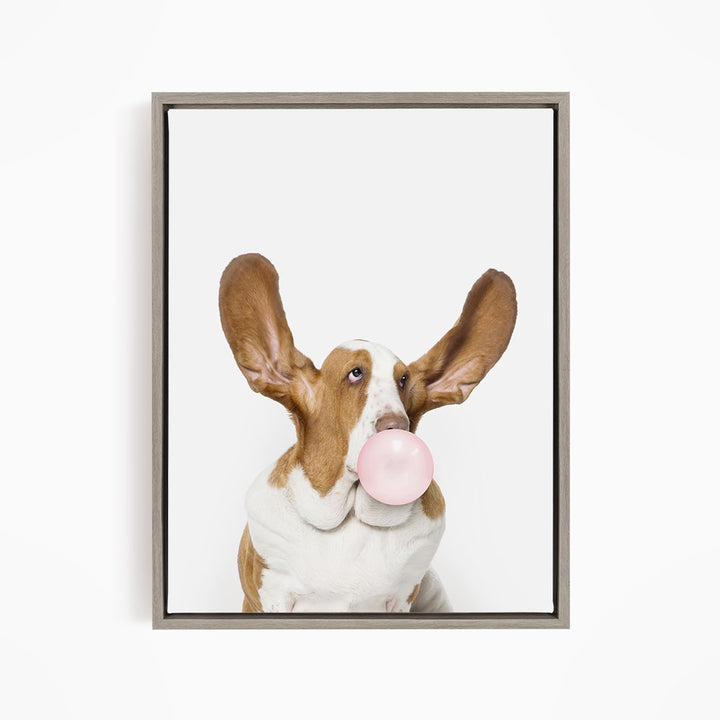 A brown and white dog with large ears is blowing a bubble with a pink bubble gum bubble.