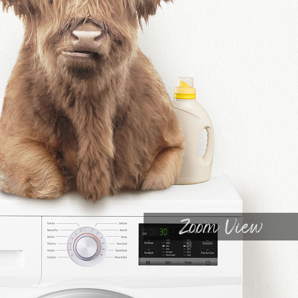A large, furry brown dog is sitting on top of a white washing machine, with a bottle of laundry detergent next to it.