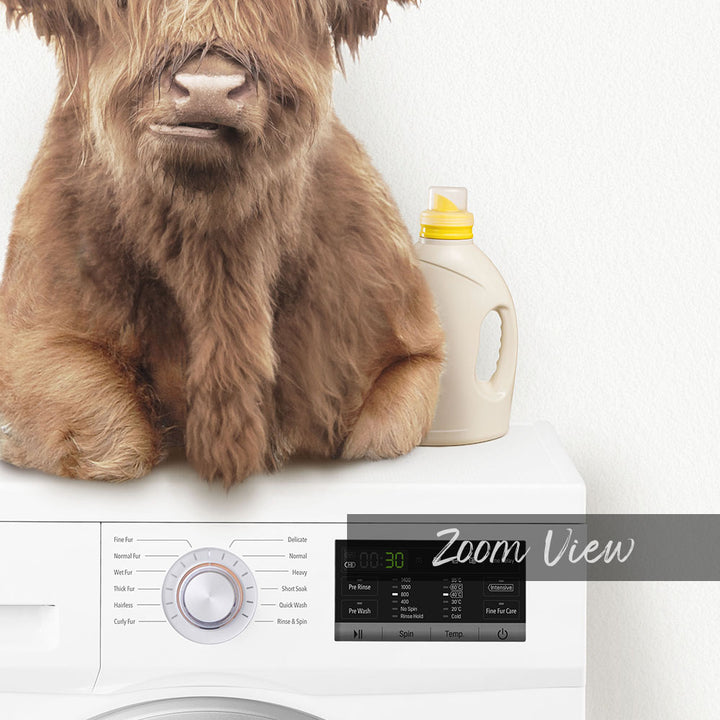 A large, furry brown dog is sitting on top of a white washing machine, with a bottle of laundry detergent next to it.