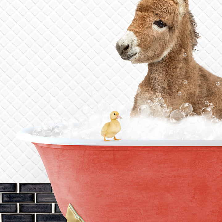 a donkey in a bathtub with a rubber duck