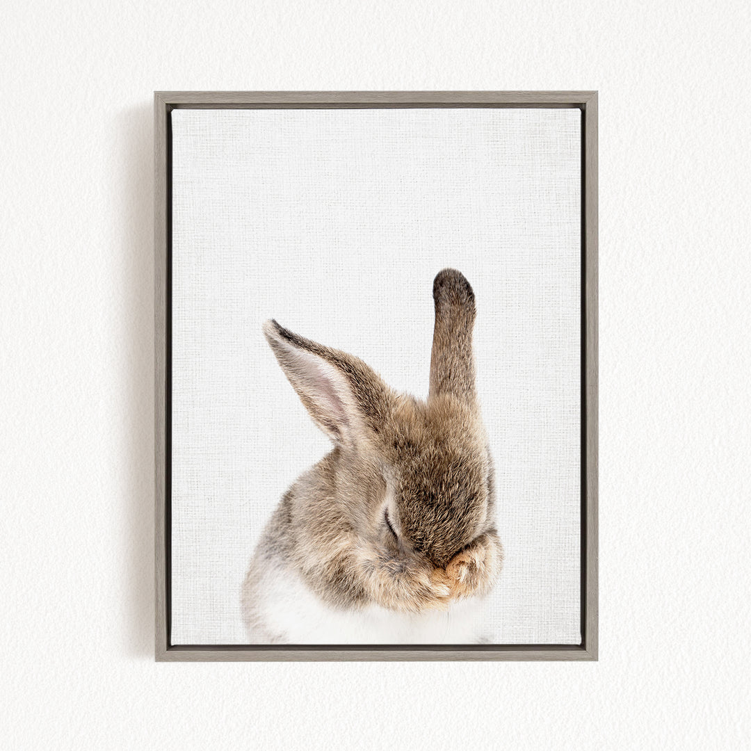 A cute, fluffy rabbit with its head resting on its paws, captured in a framed photograph.