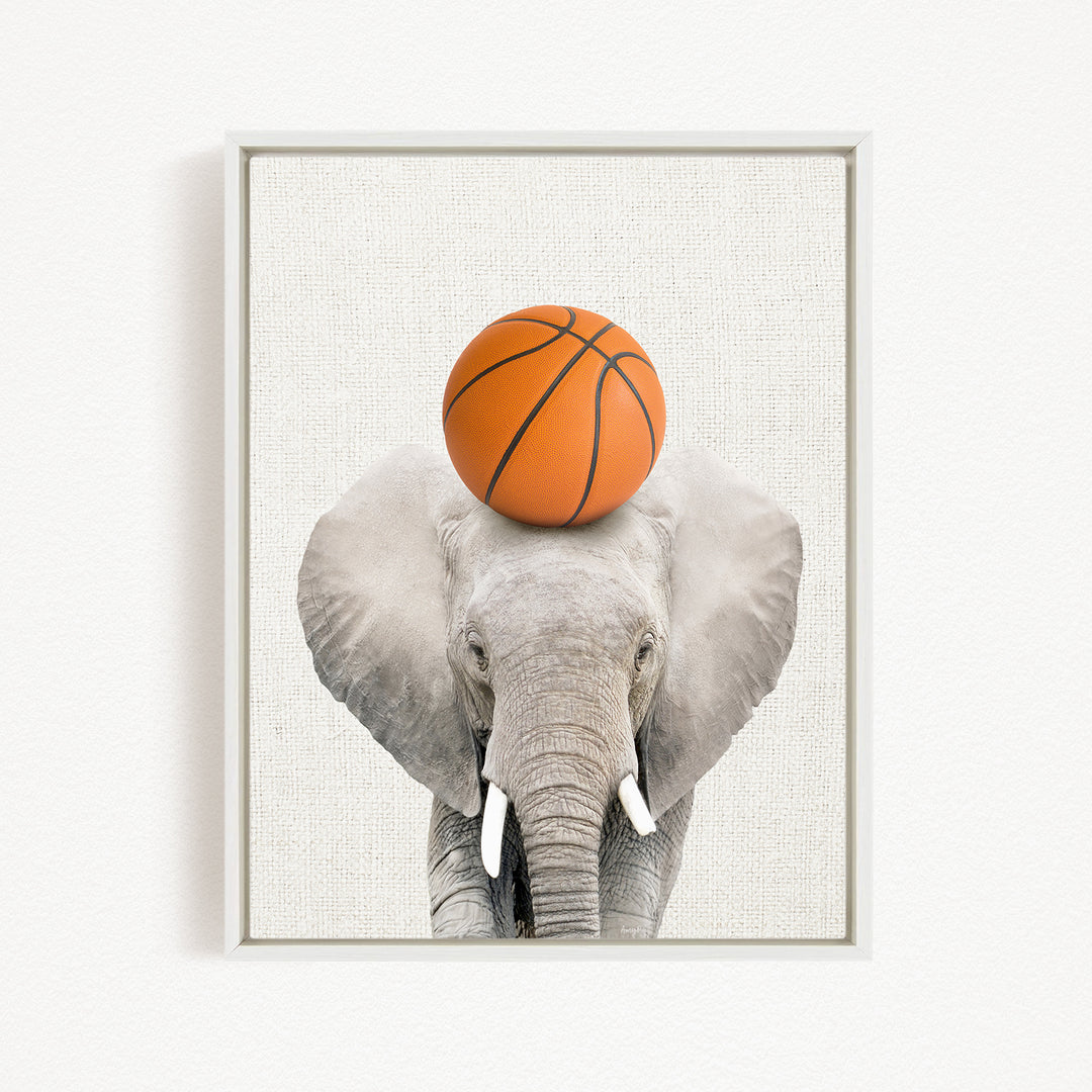 A gray elephant balances an orange basketball on its head.