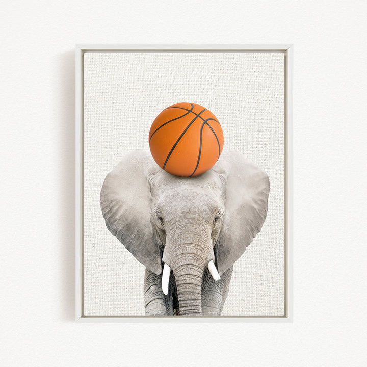 A gray elephant balances an orange basketball on its head.