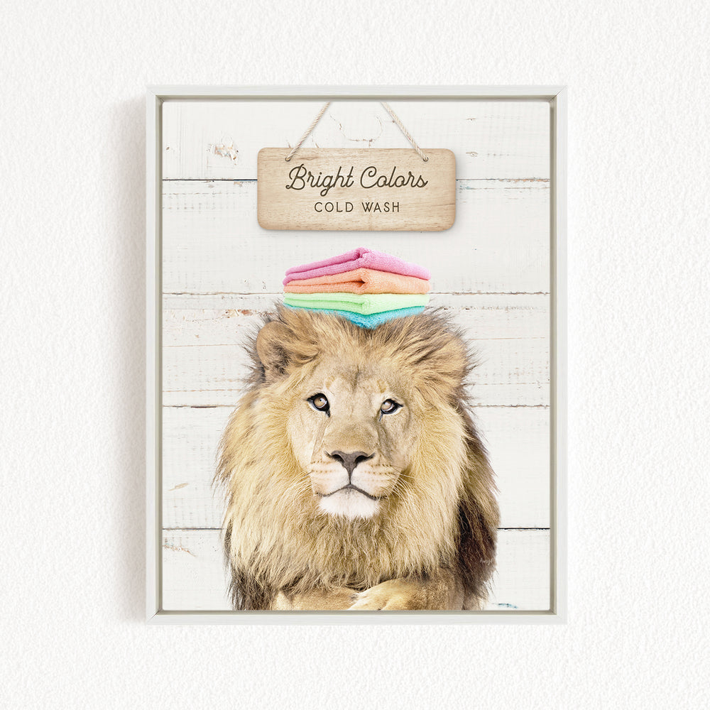 A framed image of a lion with a sign above it that says "Bright Colors Cold Wash".
