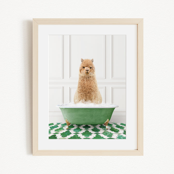 A fluffy brown dog sitting in a green bathtub filled with bubbles, with a green and white patterned rug on the floor.
