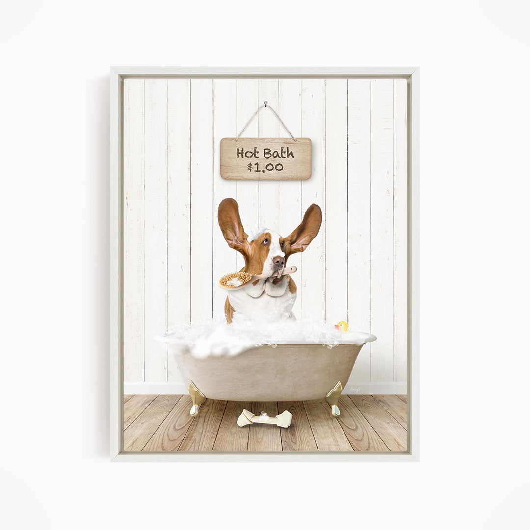 A brown and white dog sitting in a white bathtub, with a sign above the tub that reads "Hot Bath $1.00".