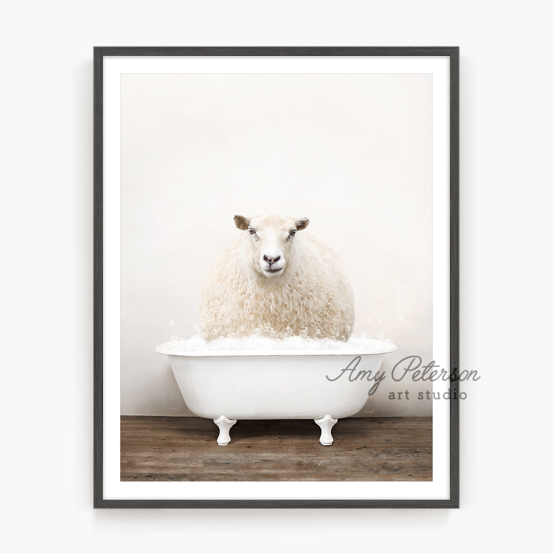 a sheep sitting in a bathtub with a white wall behind it