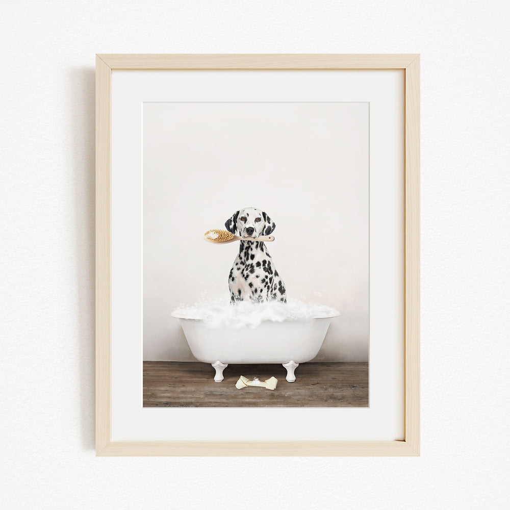 A Dalmatian dog sitting in a white bathtub, holding a bone in its mouth.
