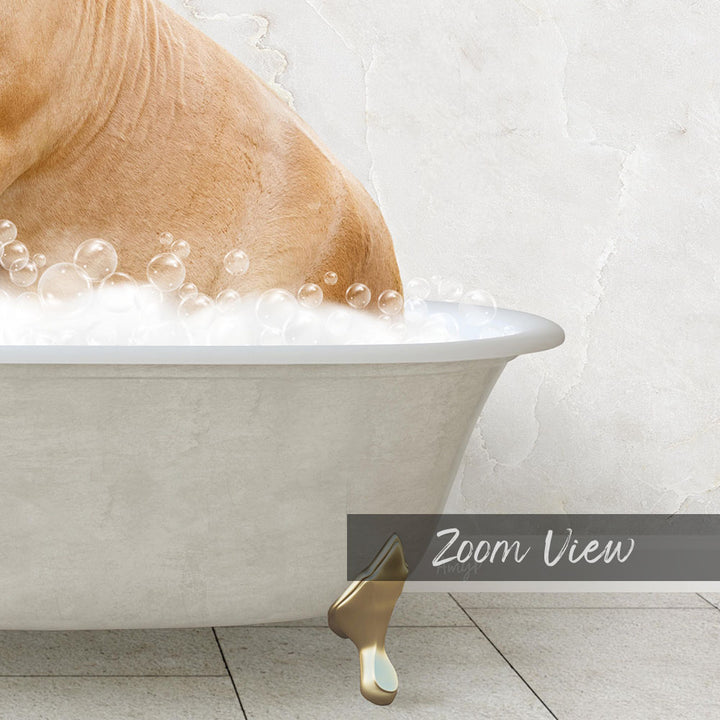 A dog is sitting in a bathtub filled with bubbles, enjoying a relaxing bath.