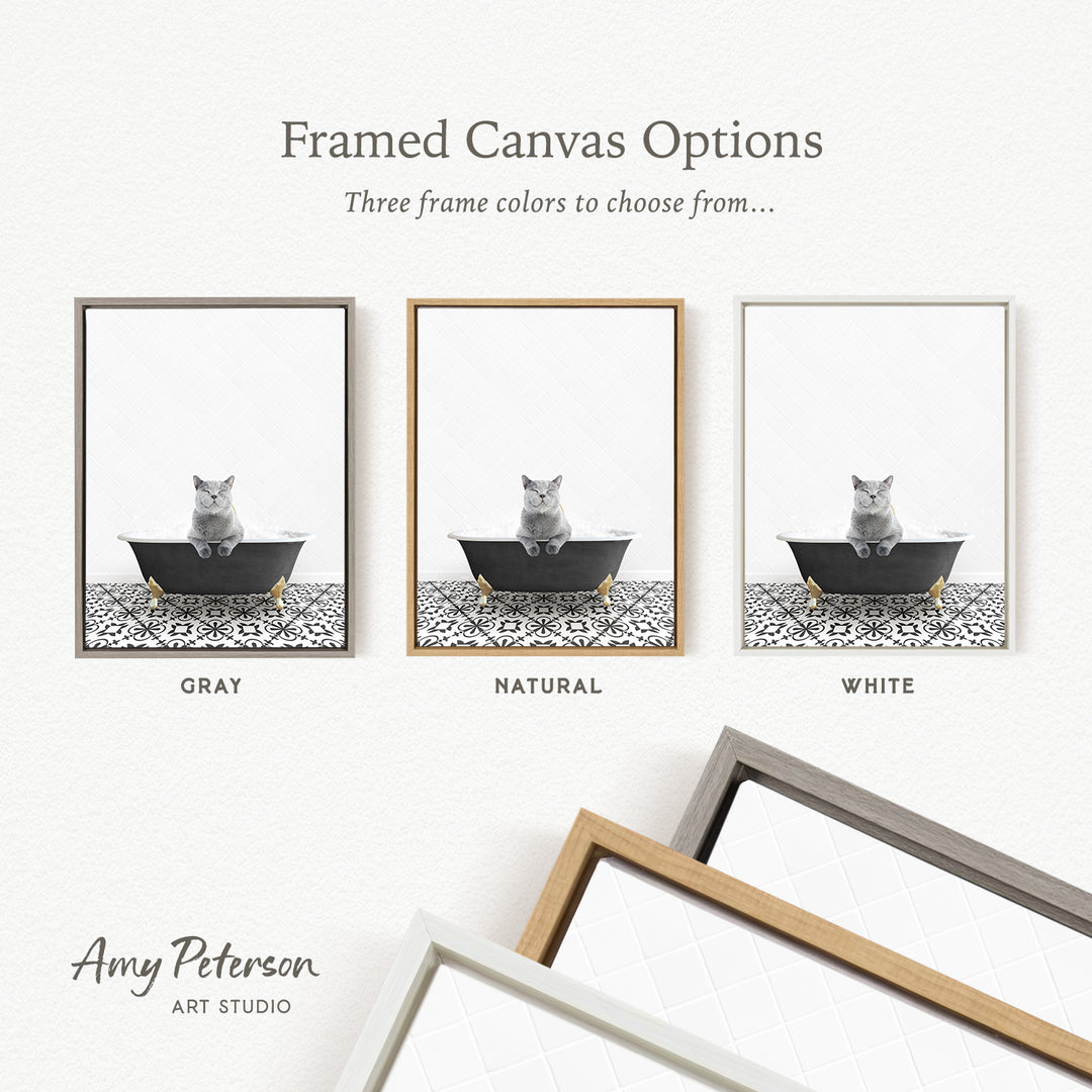 The image is a framed canvas option showcasing three different frame colors: gray, natural, and white. The gray frame has a black and white cat sitting in a bathtub, the natural frame has a black and white cat sitting in a bathtub, and the white frame has a gray cat sitting in a bathtub.