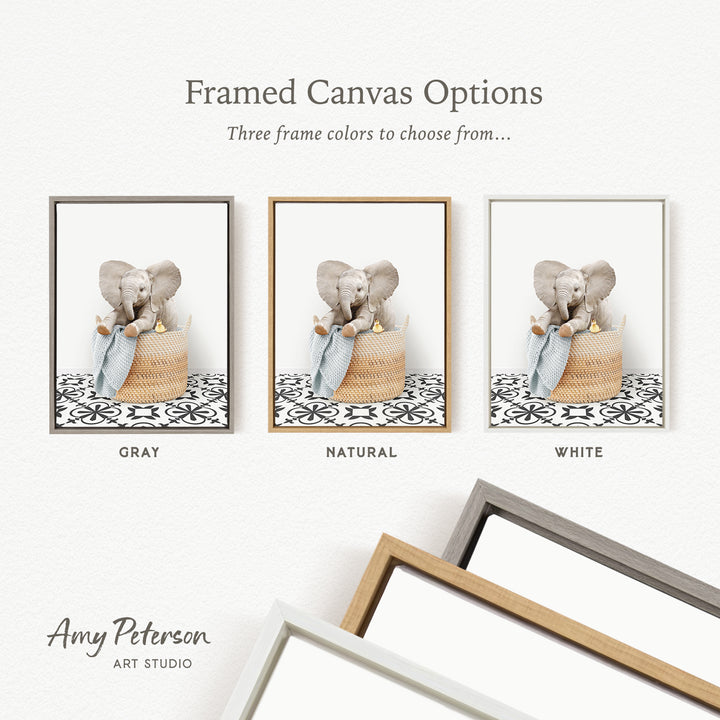 three framed canvas options, each featuring a different color and frame style. The options include a gray frame, a natural frame, and a white frame. The text above the images reads " Framed Canvas Options" and "Three frame colors to choose from...". The text below the images reads "GRAY", "NATURAL", and "WHITE". The artist's name, " Amy Peterson ART STUDIO", is also present.