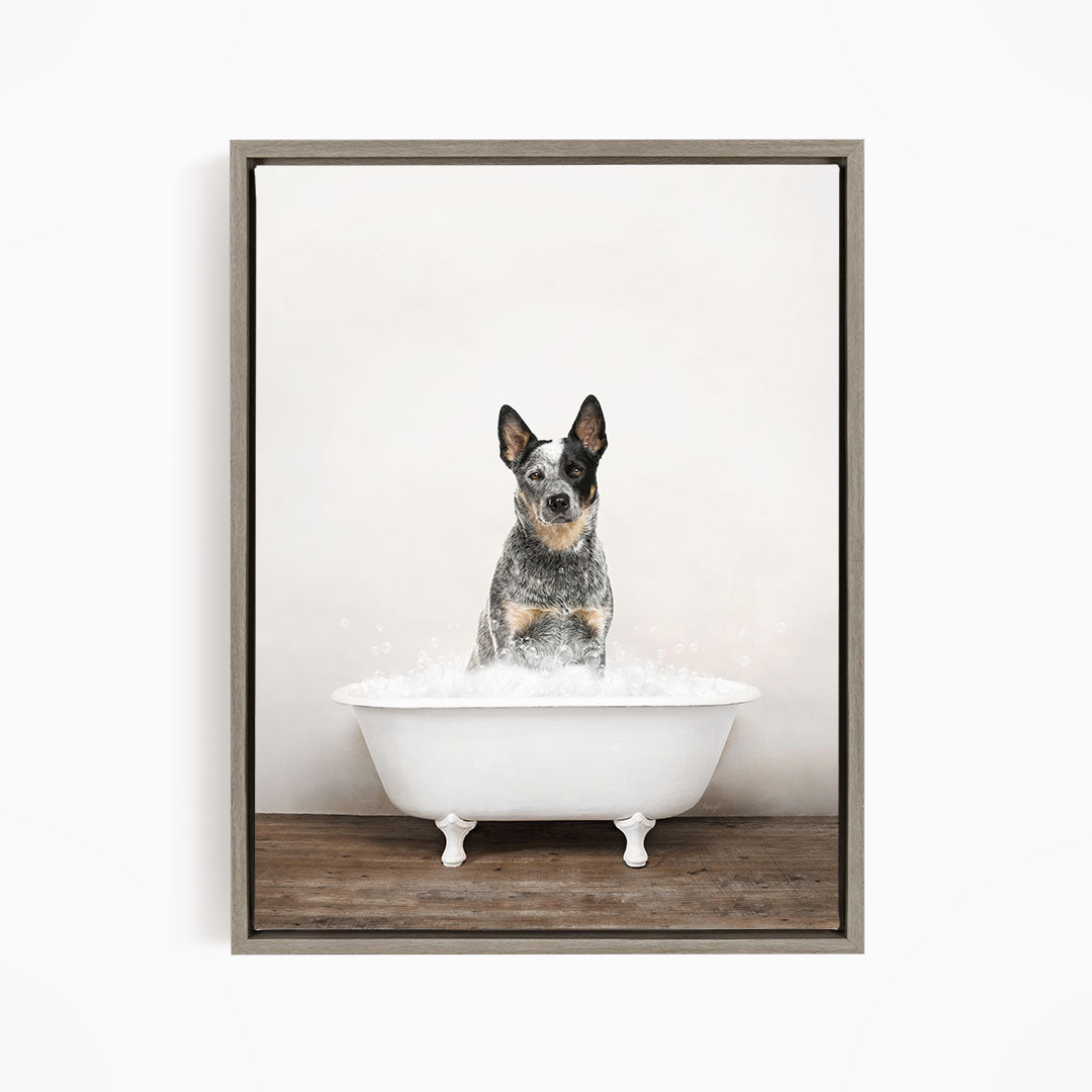A black and white dog sitting in a white bathtub filled with water, looking directly at the camera.