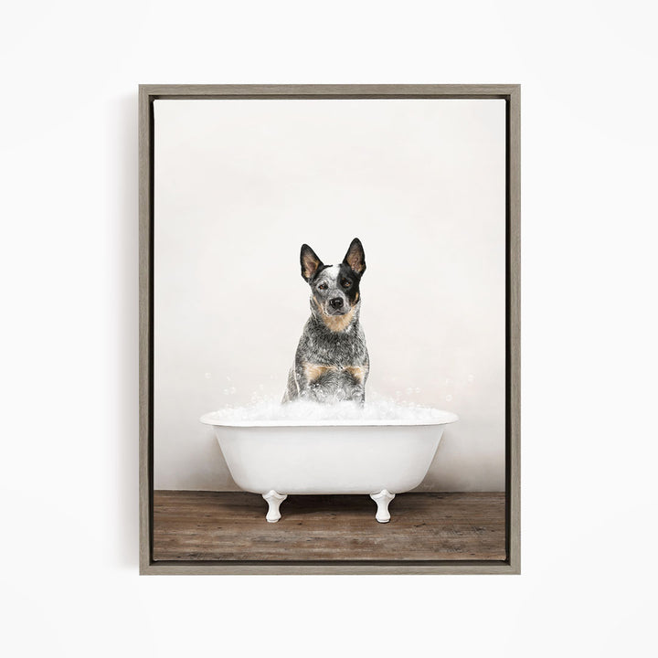 A black and white dog sitting in a white bathtub filled with water, looking directly at the camera.