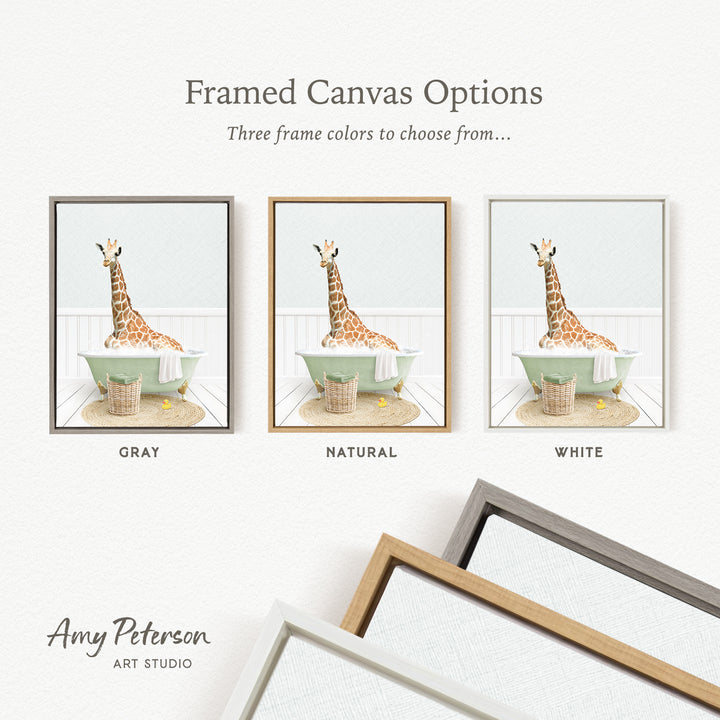 three framed canvas options featuring a giraffe sitting in a bathtub, with each frame having a different color: gray, natural, and white.