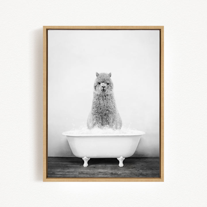 A fluffy gray llama sitting in a white bathtub filled with water, creating a whimsical and playful scene.