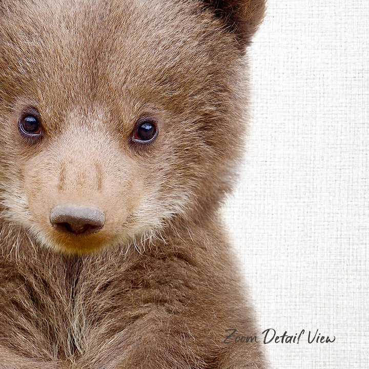 A close-up portrait of a young brown bear with large, expressive eyes and a soft, furry face.