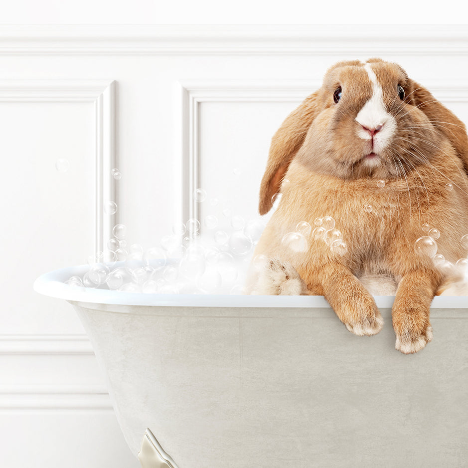 a rabbit sitting in a bathtub full of bubbles