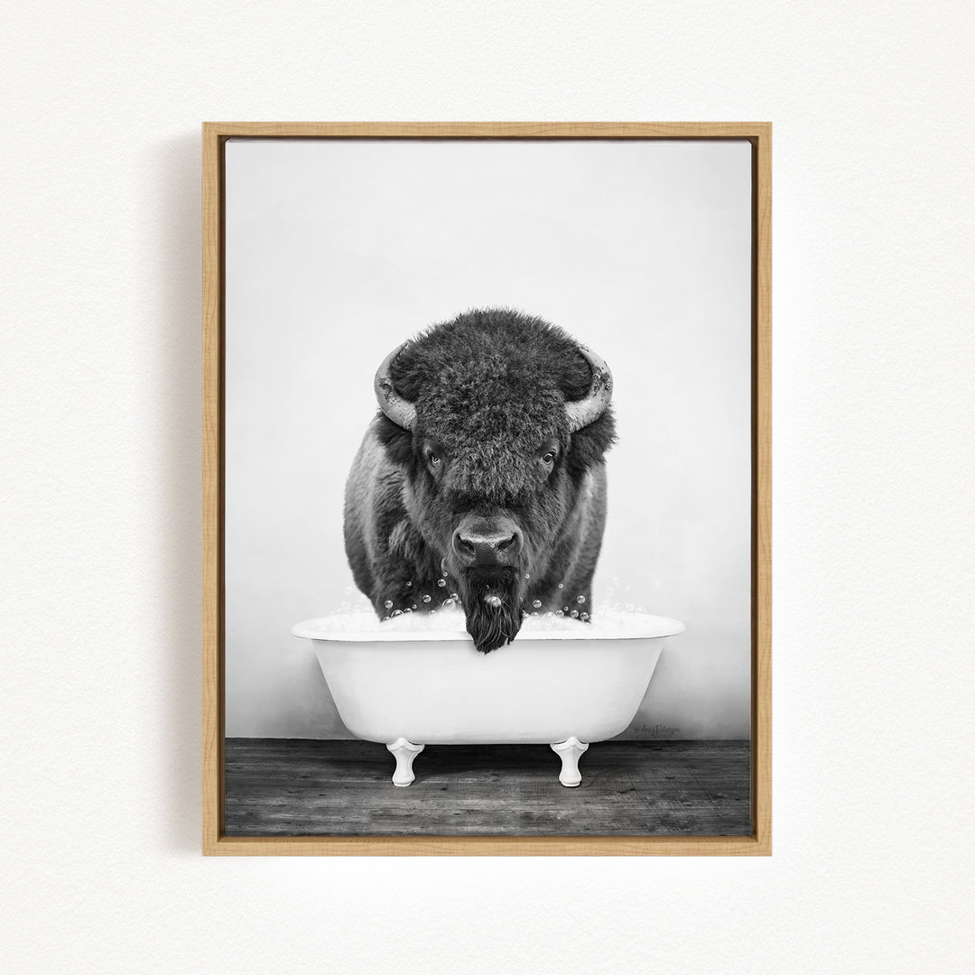 A black and white photograph of a buffalo standing in a bathtub filled with water.